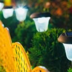 Energy-Efficient Outdoor Lighting Solutions