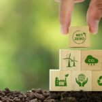 Why Should Your Company Adopt Sustainable Waste Solutions