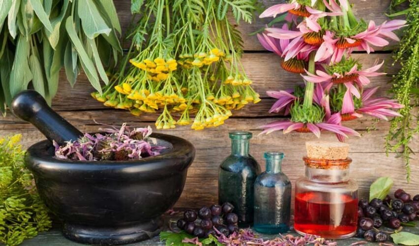 What Products Can You Make With Apothecary Ingredients?