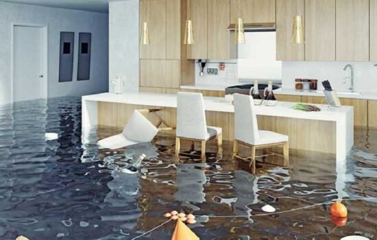 How Water Damage Restoration Services Prevent Structural Collapse