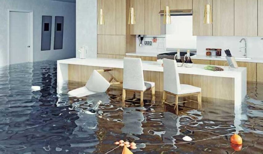 How Water Damage Restoration Services Prevent Structural Collapse