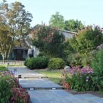 Landscaping Services for Year-Round Outdoor Enjoyment