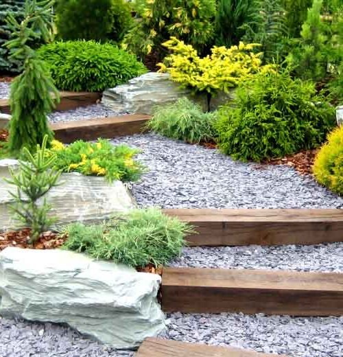 Rethinking Your Weekend Yard Routine: Top Tips
